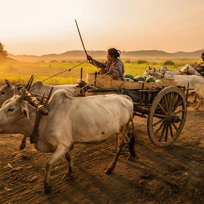 India 18