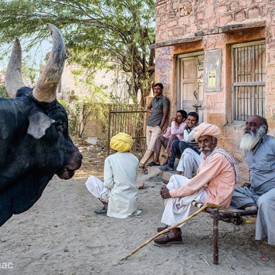 India 6